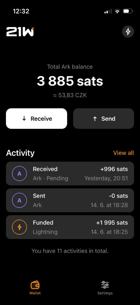 21W home screen with balance, receive and send actions, and recent activity